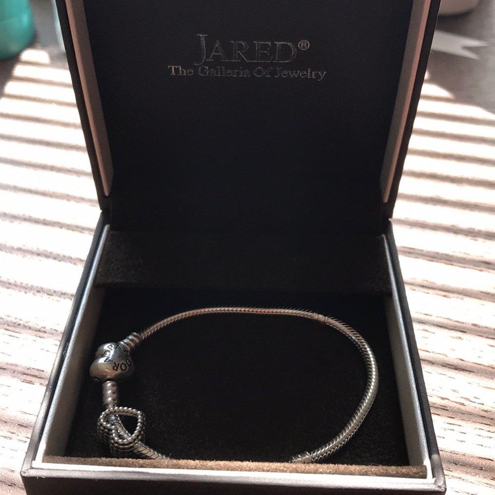 Pandora bracelet and charm